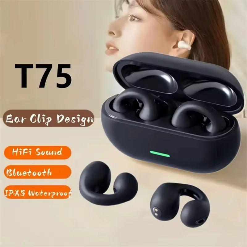 LS T75 Wireless Bluetooth Earphones Active Noise Cancellation Touch Control