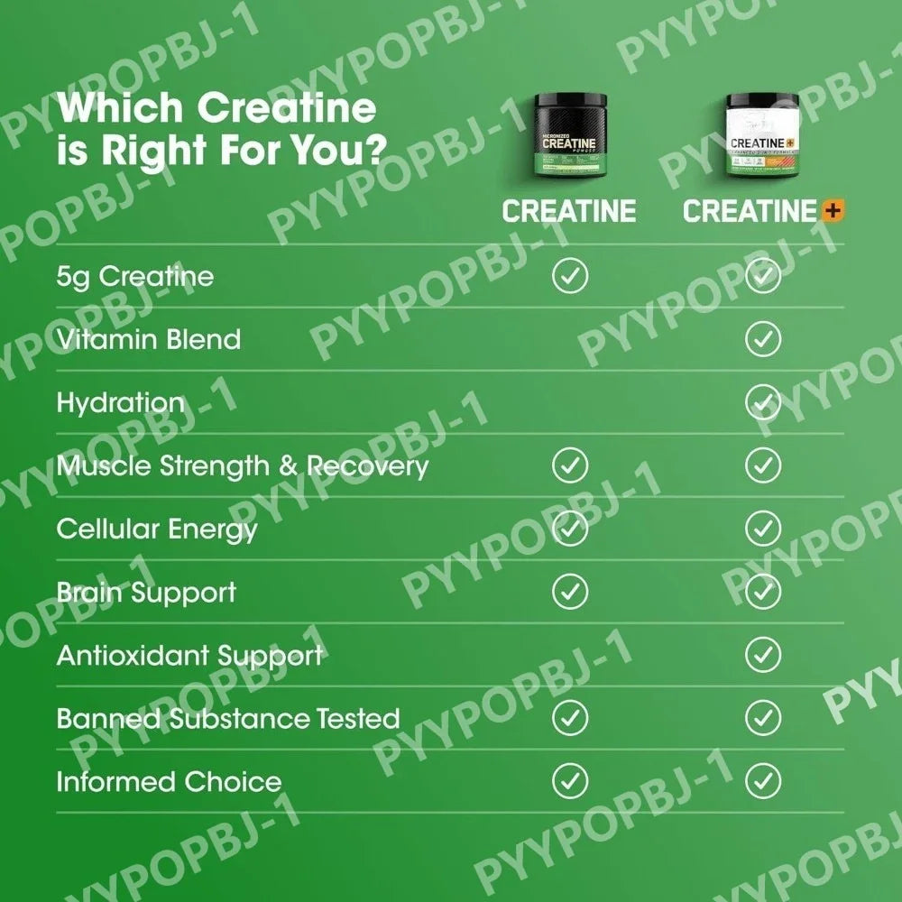 Charge Creatine Monohydrate Powder For Muscle Strength And Performance