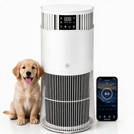Acekool H13 HEPA Air Purifier For Bedroom Quiet Sleep Mode