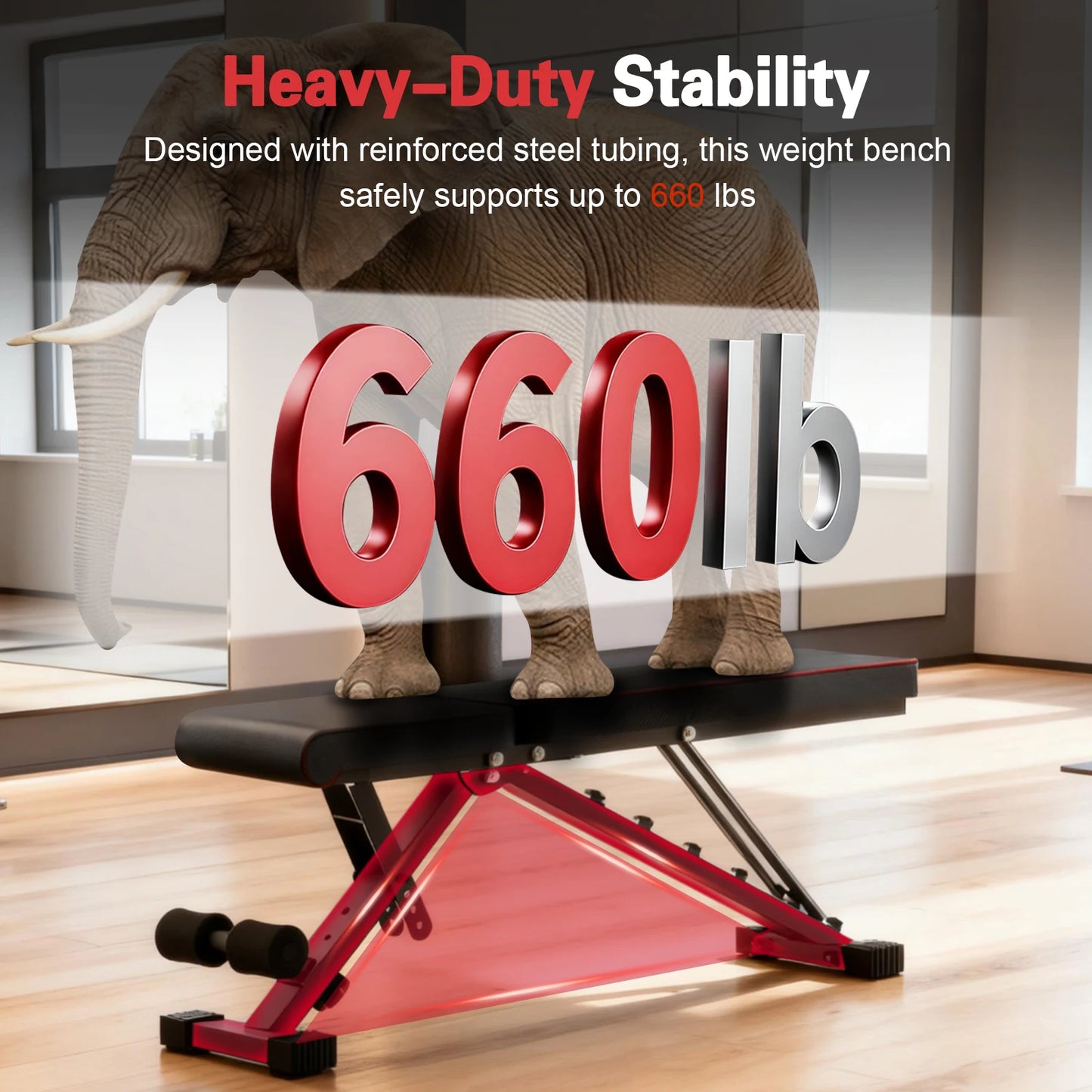Multifunctional Adjustable Dumbbell Bench Foldable For Home Gym 660LBS Capacity