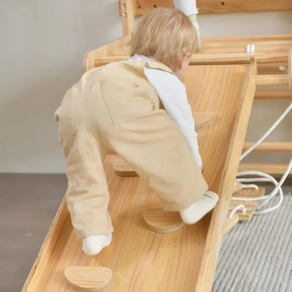 Versatile Wooden Ladder Gym With Climber And Pull Up Bar